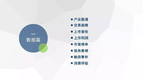 2018年度中國(guó)生活服務(wù)電商市場(chǎng)數(shù)據(jù)監(jiān)測(cè)報(bào)告發(fā)布 行業(yè)深度調(diào)整與高質(zhì)量發(fā)展并存